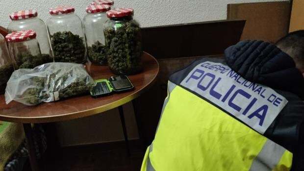 Desarticulan en Toledo una doble red dedicada a la distribución de marihuana en Europa