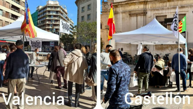 Hablamos Español entregará las 10.000 firmas para la Ley de Libertad de Elección de Lengua en Valencia