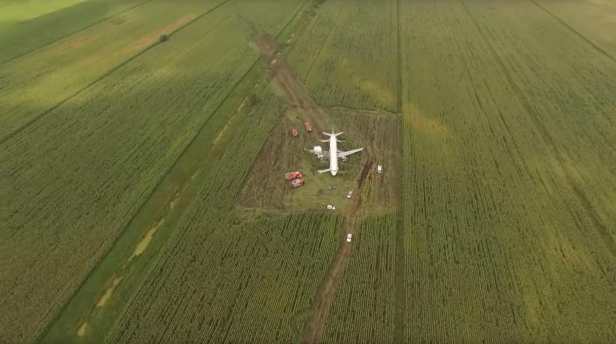 Una imagen de archivo (2019) de una plantación de maíz, cerca de Moscú