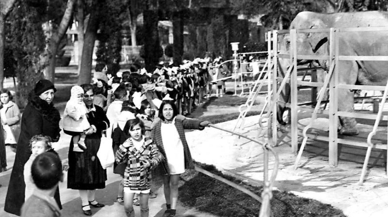 Los más pequeños entraban gratis un día a la semana en la Casa de Fieras. Aquí, junto al elefante, en noviembre de 1931