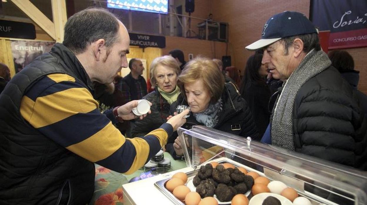 La XII Feria de la Trufa de Molina de Aragón será en el Centro Cultural de San Francisco