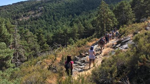 Senderismo en Garganta de los Montes.