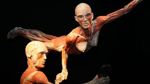 Parte de la muestra 'Body Worlds', en Ifema.