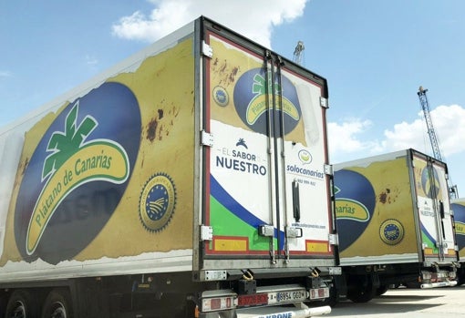 Camiones de plátano de Canarias en su distribución a Península