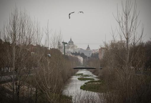 Vista del río Manzanares, con el Palacio Real y la catedral de la Almudena al fondo