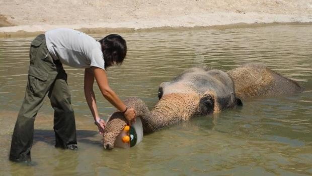 Universitarios alicantinos harán prácticas de zoología en el parque de animales Terra Natura de Benidorm