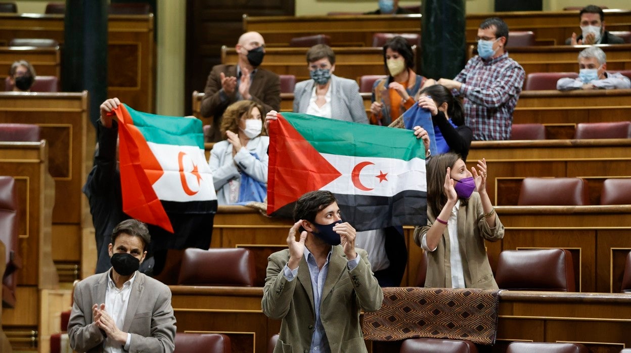 Unidas Podemos exhibe banderas saharauis en el pleno del Congreso