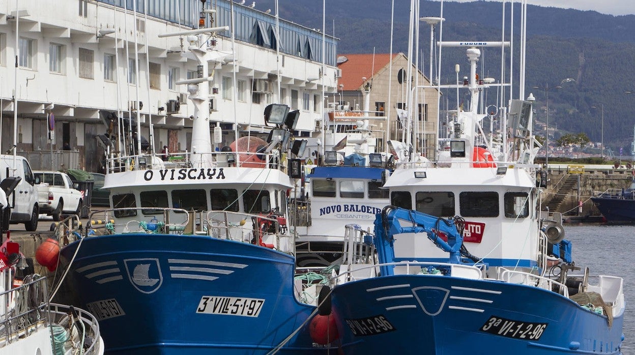 Varios barcos permanecen amarrados al puerto ante las dificultades para faenar por la huelga de transportes