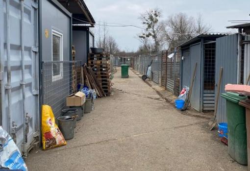 Refugio de animales visitado por Salvando Peludos