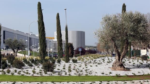 Vea cómo ha quedado la zona ajardinada del hospital de Toledo