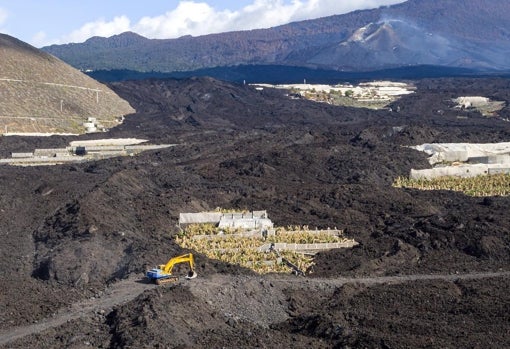 Una retroexcavadora avanza en el campo de coladas del volcán