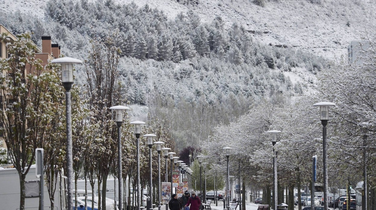 La intensa nevada deja una estampa invernal en Pamplona