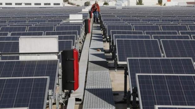 Alicante reduce un 20% el consumo energético y ahorra casi cuatro millones en los últimos cuatro años