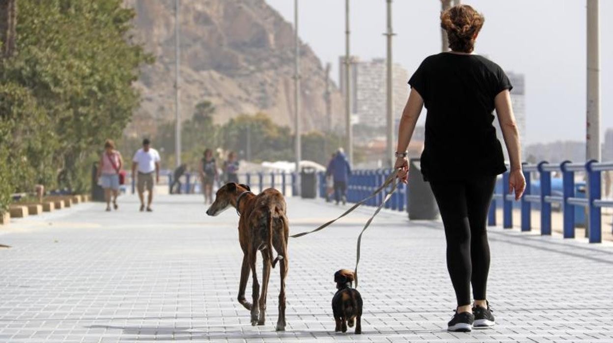 Paseo de la playa del Postiguet