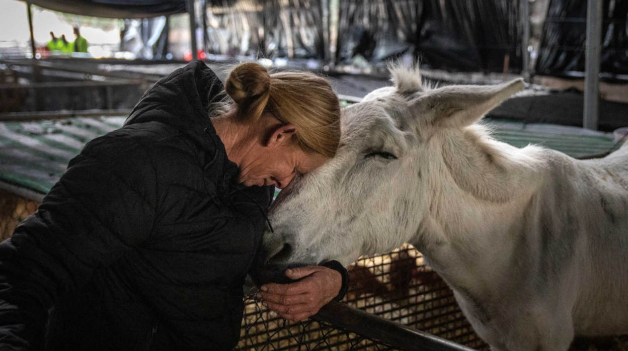 Annabel saluda a su burro 'Sancho', en el refugio de animales de granja de El Paso