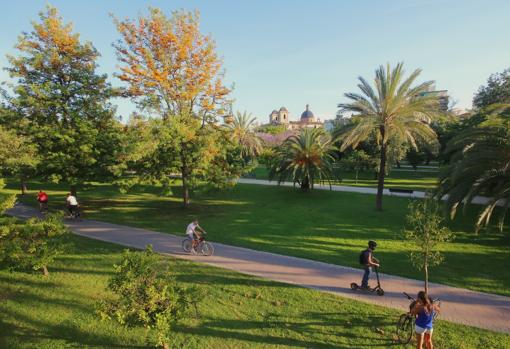 Una imagen del Jardín del Túria en la ciudad de Valencia