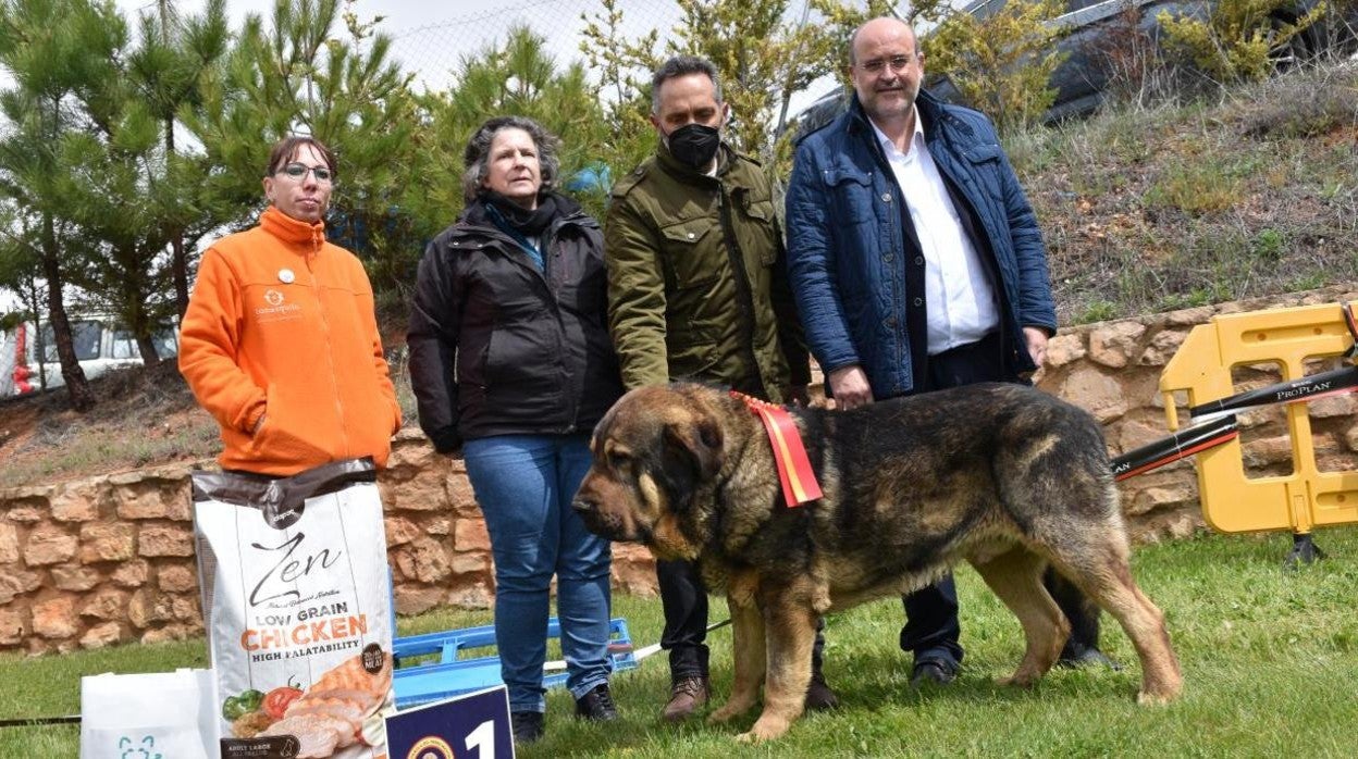 El vicepresidente ha participado en el Campeonato Nacional 2022 Mastín Español en Jábaga (Cuenca)