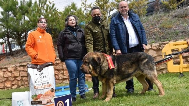 Castilla-La Mancha considera que la Ley de Bienestar Animal invade competencias autonómicas