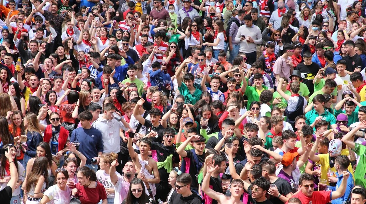 &#039;Siguiñuelo&#039;, el Toro Enmaromado de 2022 que recorrerá las calles de Benavente el 15 de junio