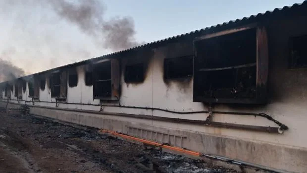 Decenas de cerdos mueren en el incendio de una granja en Pozuelo de Aragón