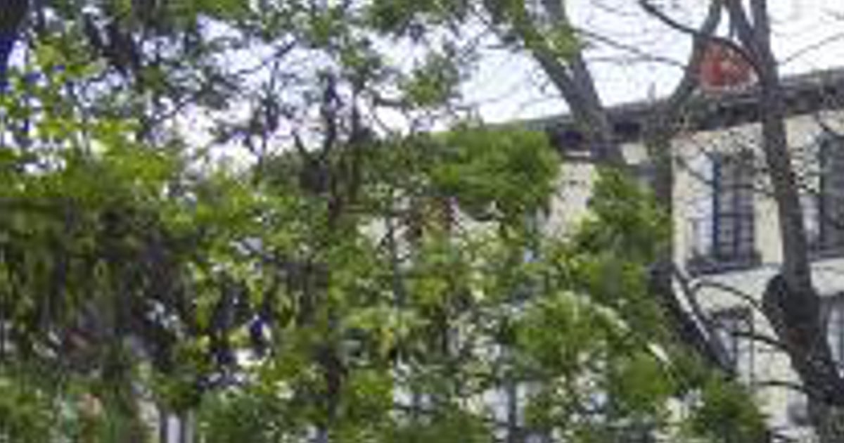 Monumento a Zuloaga en Las Vistillas, repleto de grafitis en su entorno