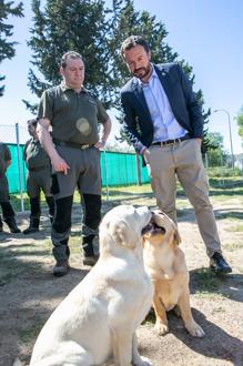 Los dos perros de la nueva unidad