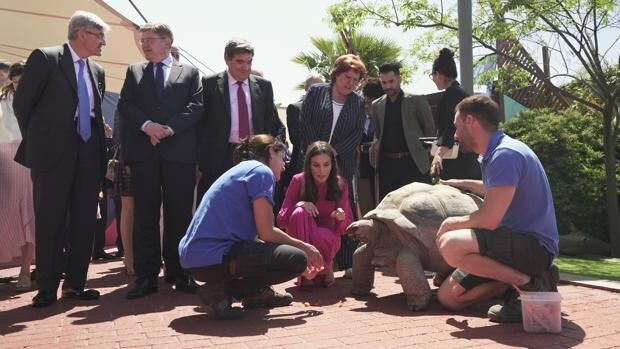 La Reina Letizia conoce a Darwin, la tortuga gigante del Oceanogràfic de Valencia
