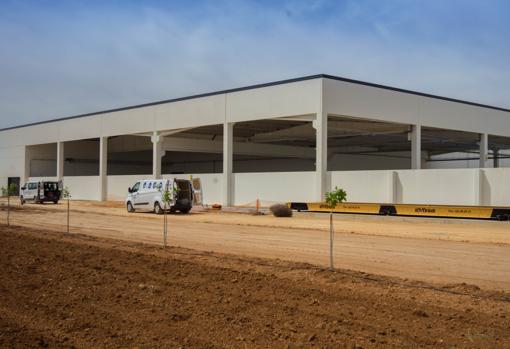 Nueva planta de procesado de próxima inauguración, situada en Argamasilla de Alba en una de las fincas propiedad del Grupo IberoPistacho