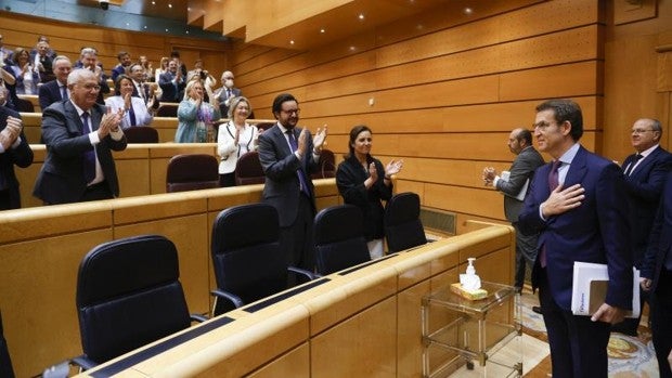 Feijóo se estrena como senador contra Sánchez: «Somos la antítesis del sanchismo, el PSOE ha mutado»