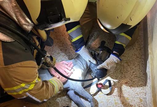 Rescatan a dos menores atrapados en una terraza tras el incendio originado en su piso en el Polígono