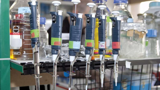 Canarias registra  dos casos negativos y notifica cuatro nuevos para estudio de viruela del mono