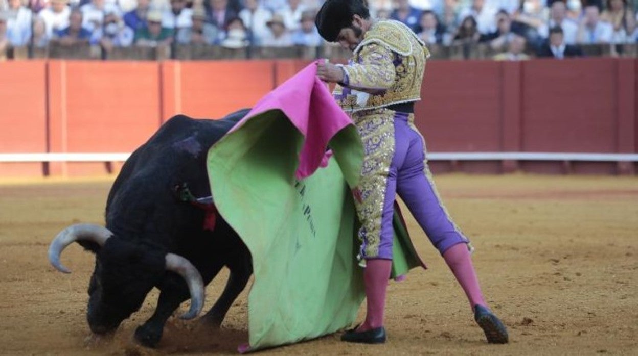 Morante, toreando a la verónica en Sevilla