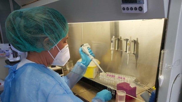 Sigue la escalada de la viruela del mono en Canarias, los casos se triplican en una semana