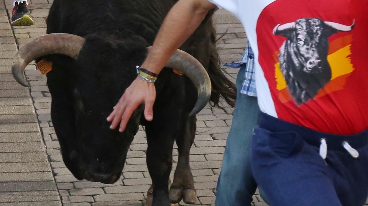 Las calles de Soria volverán a tener un encierro de novillos tras el parón de la pandemia