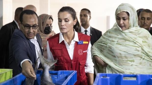 La Reina Letizia visita en Mauritania el ‘milagro’ español de los peces congelados
