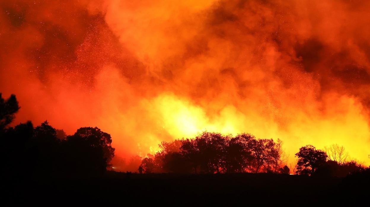 Incendio forestal en el Parque Natural de la Sierra de Francia (Salamanca), el pasado noviembre