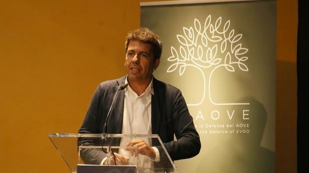 Mazón: «Nuestro reto es posicionar el aceite de oliva virgen extra alicantino como referencia internacional»