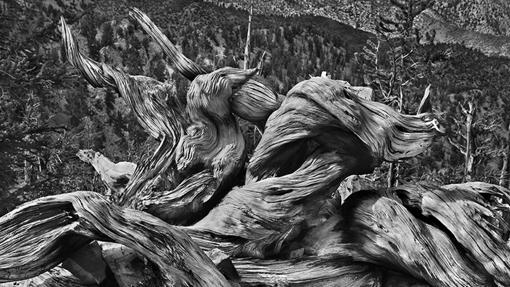 Foto del brasileño Sebastiao Salgado.