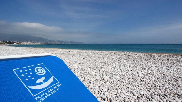 Un jabalí muerde a una mujer en una playa del municipio alicantino de Alfaz del Pi