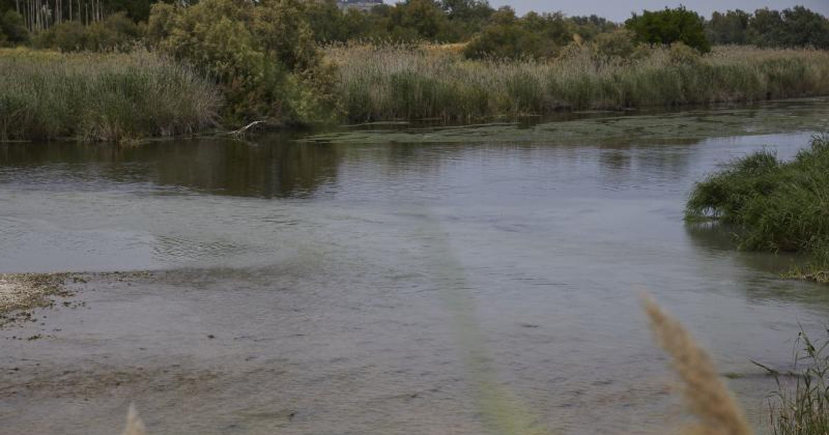 Desembocadura de las aguas del Jarama, pardas, en el Tajo