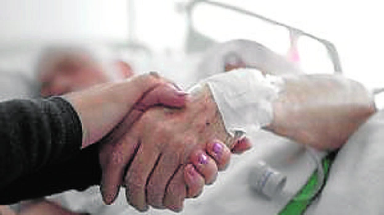 El primer año de aplicación de la Ley nacional de la Eutanasia deja 16 solicitudes y cuatro prestaciones