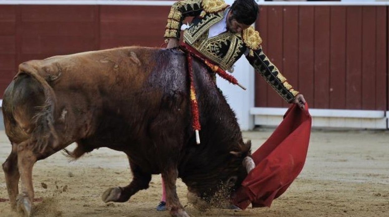 Morante, gustándose con el colorado, el cuarto toro de Daniel Ruiz