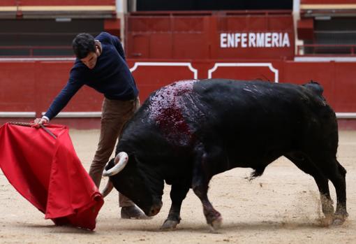 Matando un toro de Victoriano del Río a puerta cerrada hace unos días