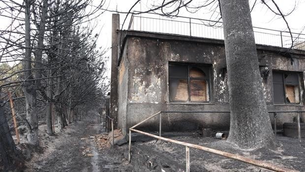 Tras el incendio de la Sierra de la Culebra: «Si teníamos pocos recursos, nos hemos quedado sin nada»