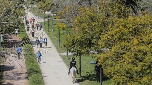 Buscan a dos hombres por violar a un turista irlandés en un parque de Valencia