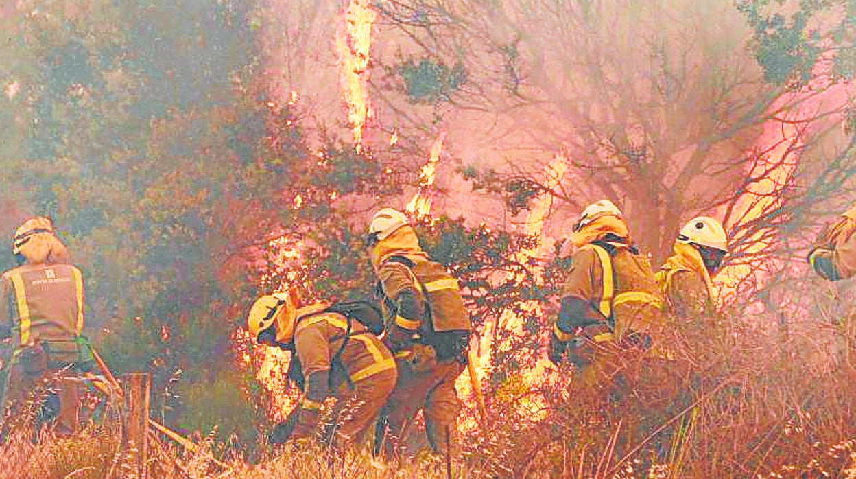 Los bomberos forestales luchan contra las llamas en el incendio de la Sierra de la Culebra