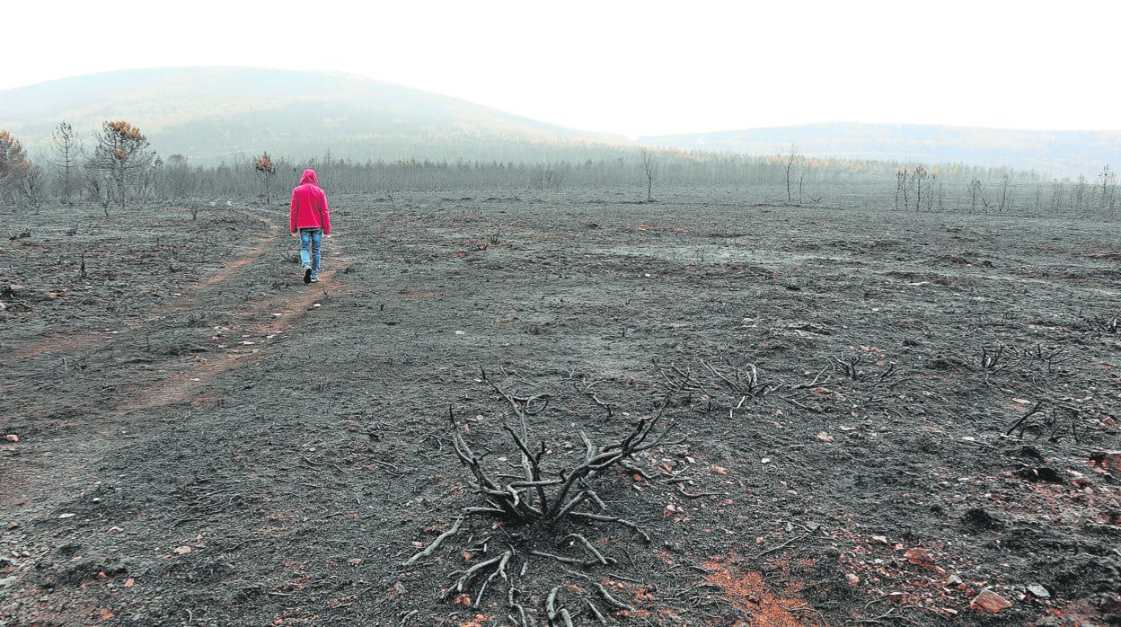 El serpentear por un paisaje negro de la Sierra de la Culebra