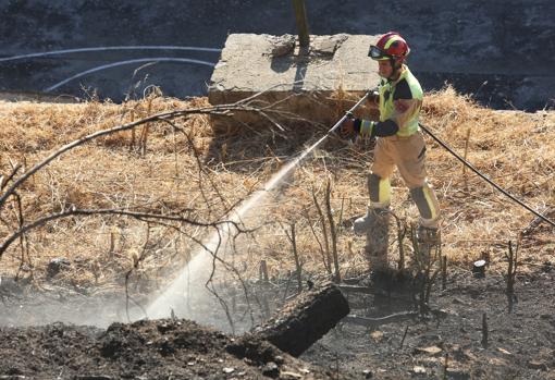 El fuego ha afectado a 500 metros cuadrados de pasto