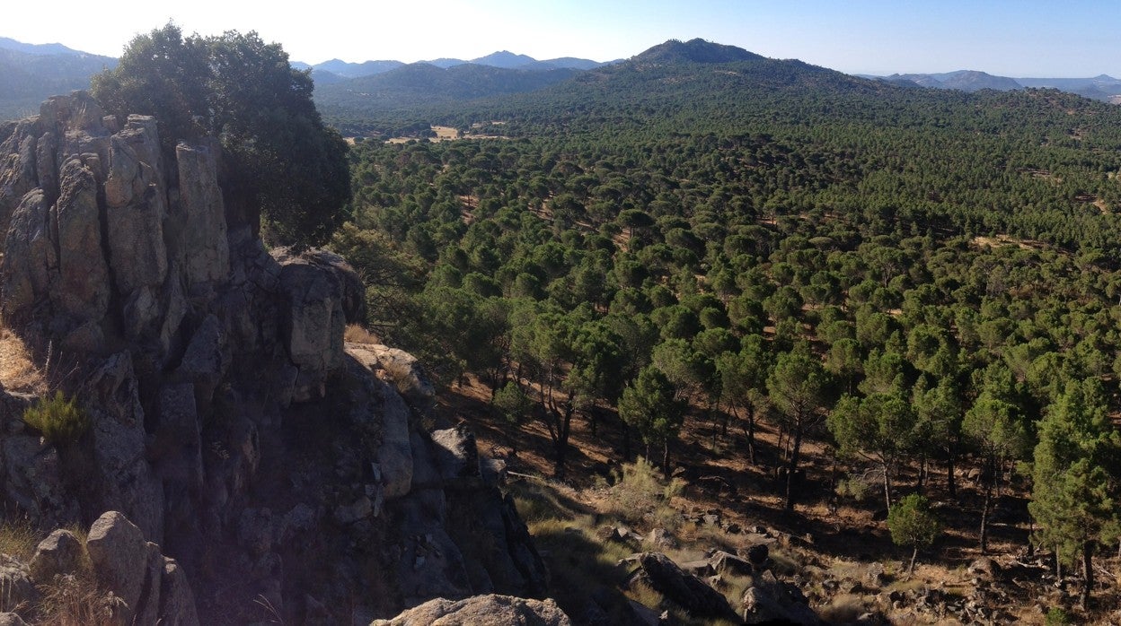 Zona boscosa y montañosa en Ávila