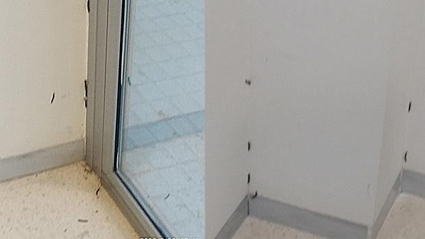 Gusanos en un centro de salud de Castellón: denuncian que sufren una plaga de lombrices cada vez que llueve